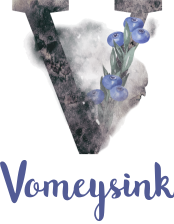 Vomeysink